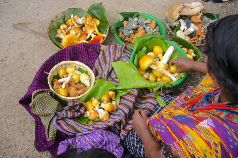 Maya-Woman-Selling-Food-San-Juan-Lake-Atitlan-Guatemala